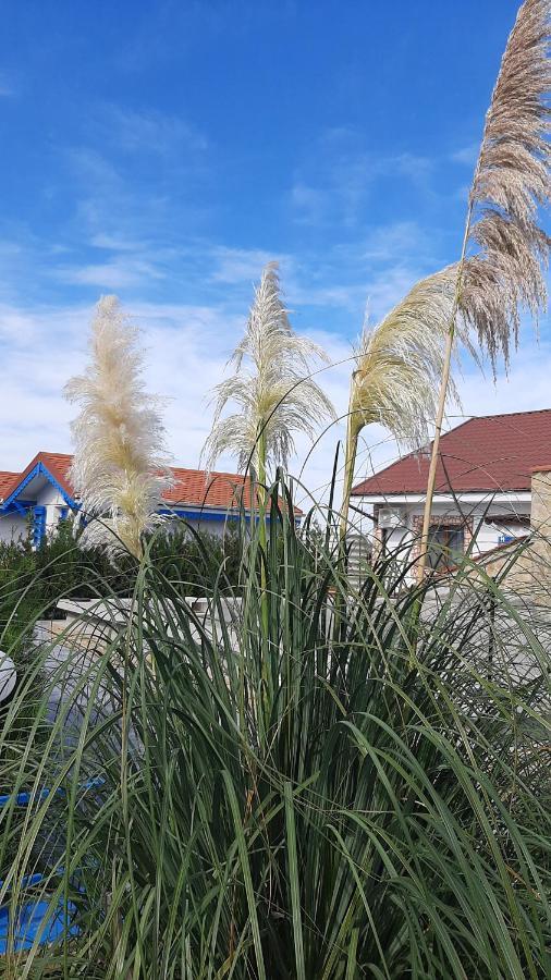 Complex Turistic Essenza Hotel Murighiol Exterior foto